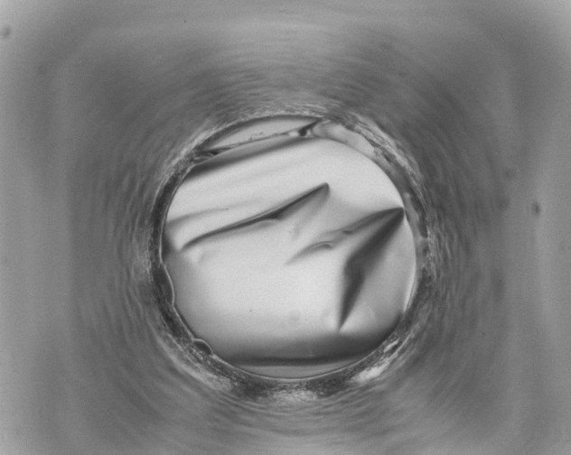 X0000070230203200606161741