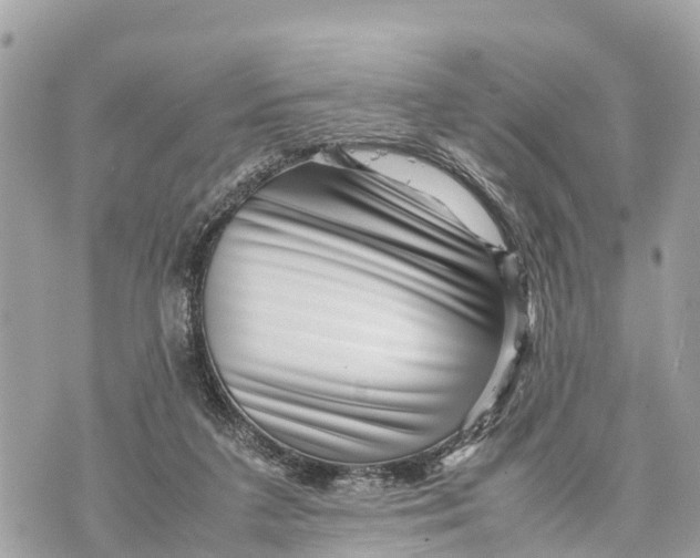 X0000070230211200606161741