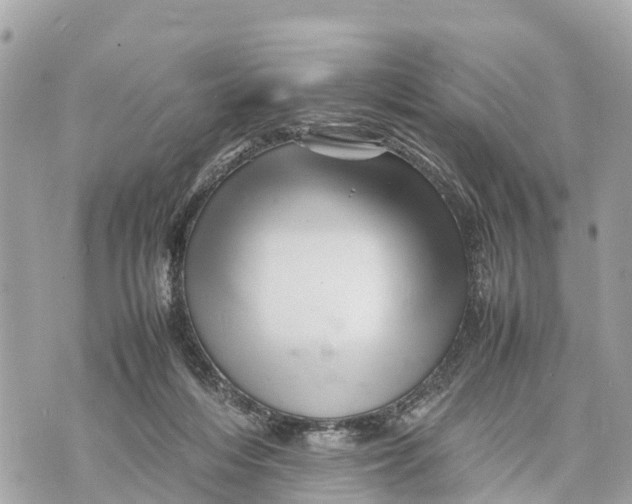 X0000070230216200606161741