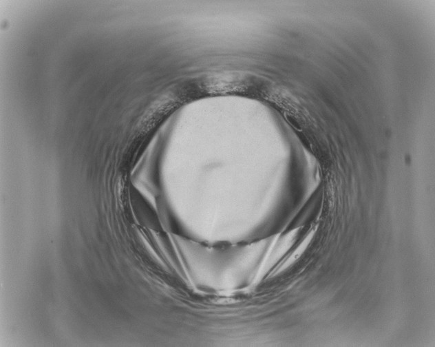 X0000070230219200606161741