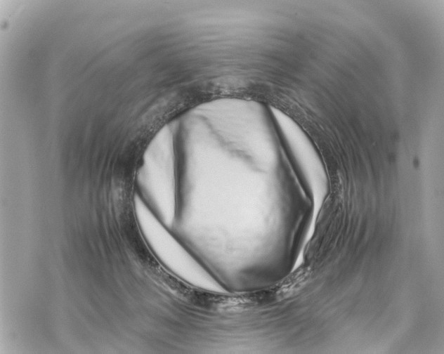 X0000070230222200606161741