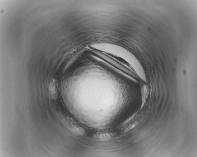 X0000070230228200606161741