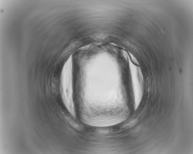 X0000070230234200606161741