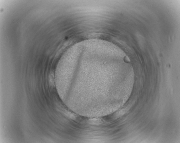 X0000070230240200606161741