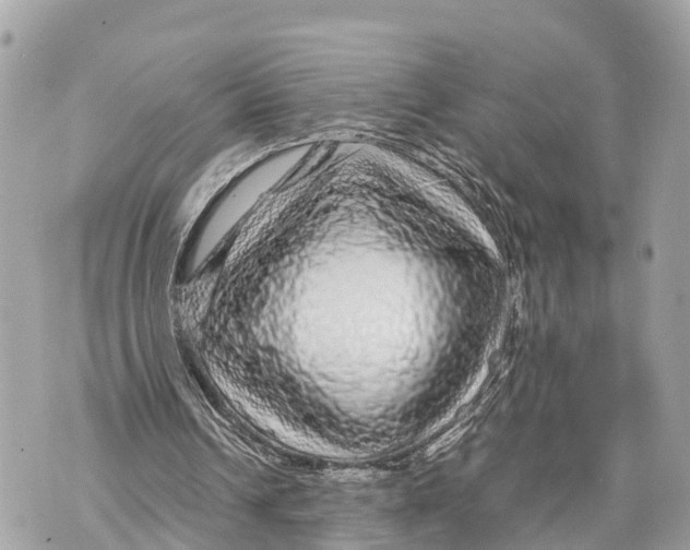 X0000070230242200606161740