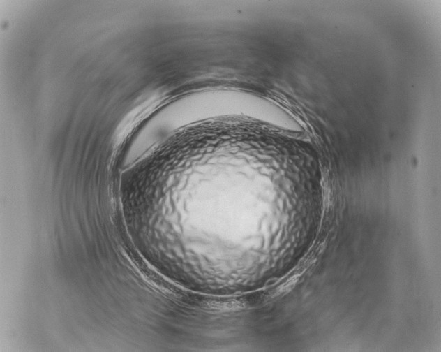 X0000070230245200606161740