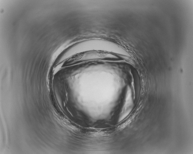 X0000070230246200606161740