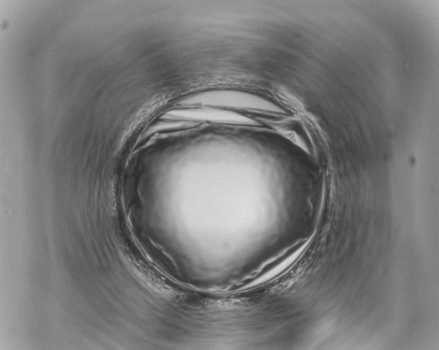 X0000070230250200606161740