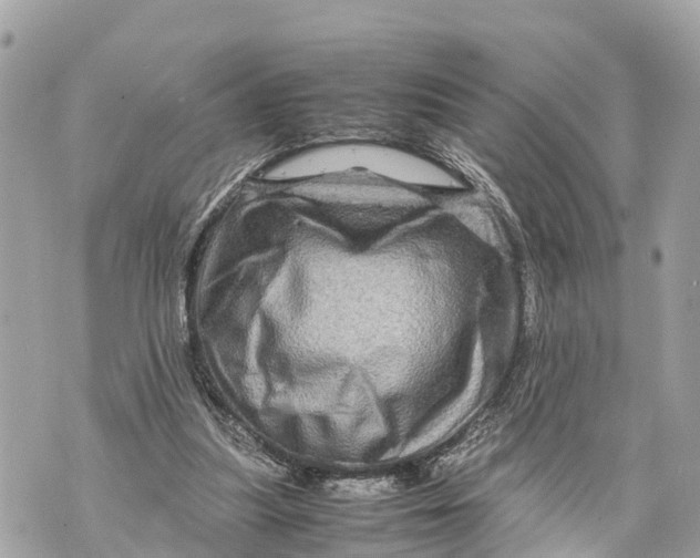X0000070230251200606161740