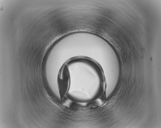X0000070230252200606161740