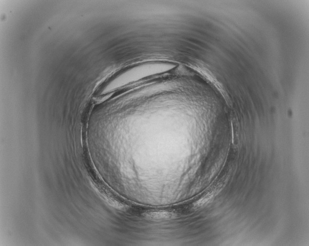 X0000070230253200606161740