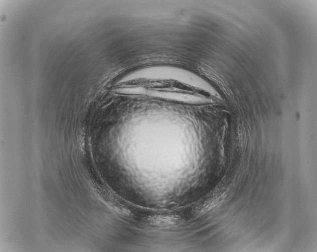 X0000070230255200606161740