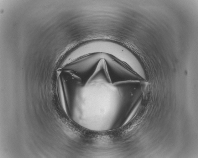 X0000070230256200606161740
