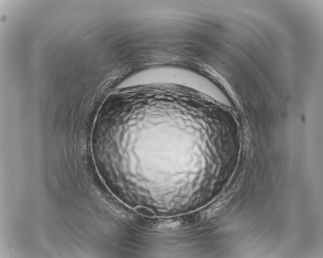 X0000070230257200606161740