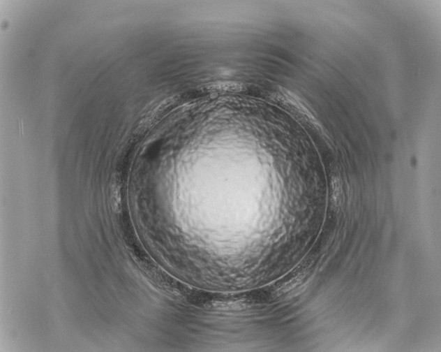 X0000070230259200606161740