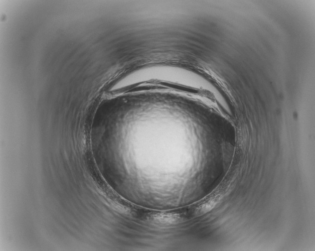 X0000070230261200606161740