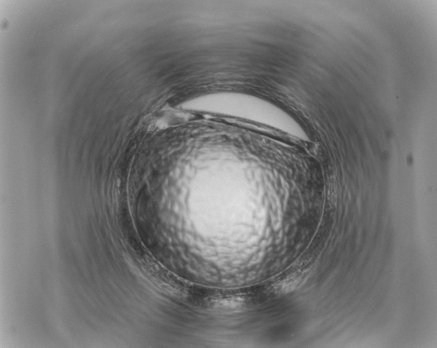 X0000070230263200606161740