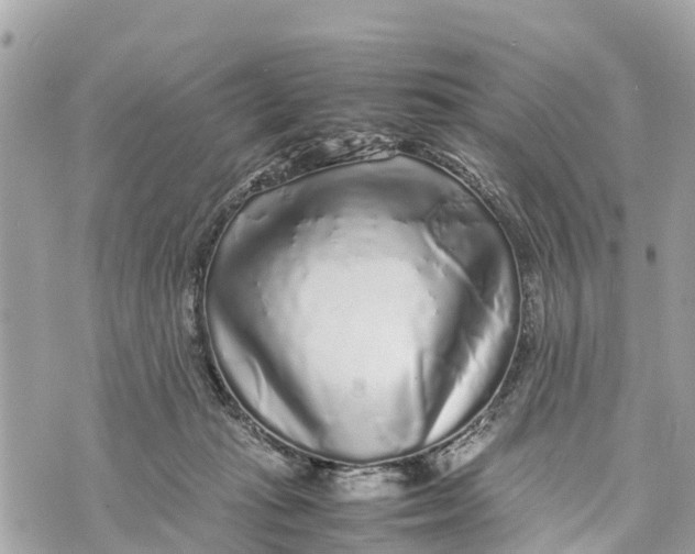 X0000070230269200606161740