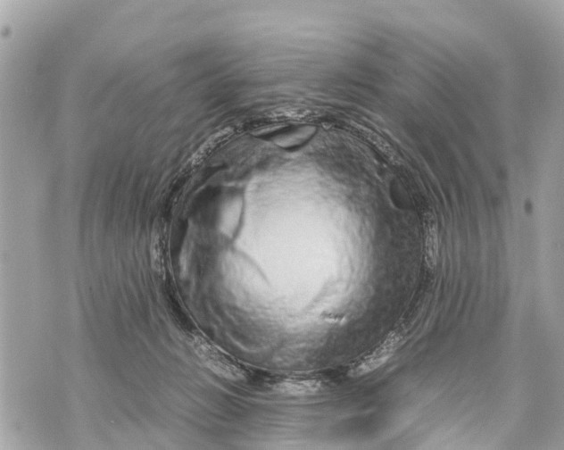 X0000070230270200606161740