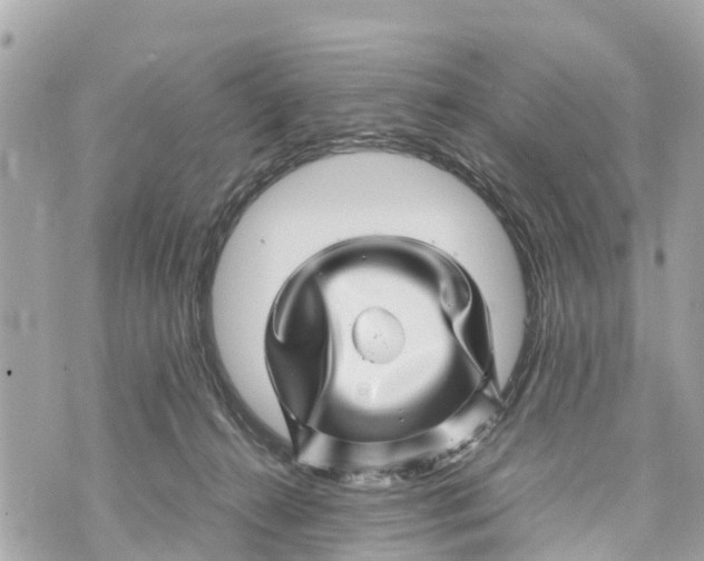 X0000070230272200606161740
