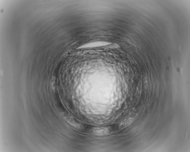 X0000070230275200606161740