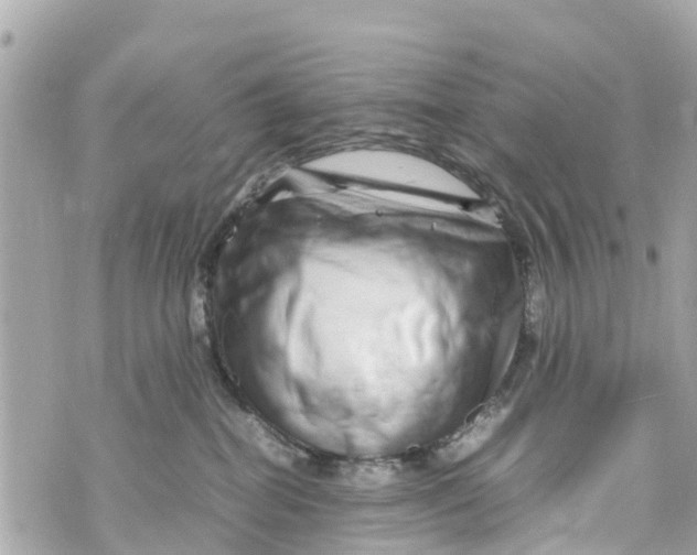 X0000070230282200606161740