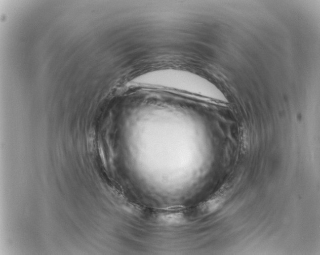 X0000070230283200606161740