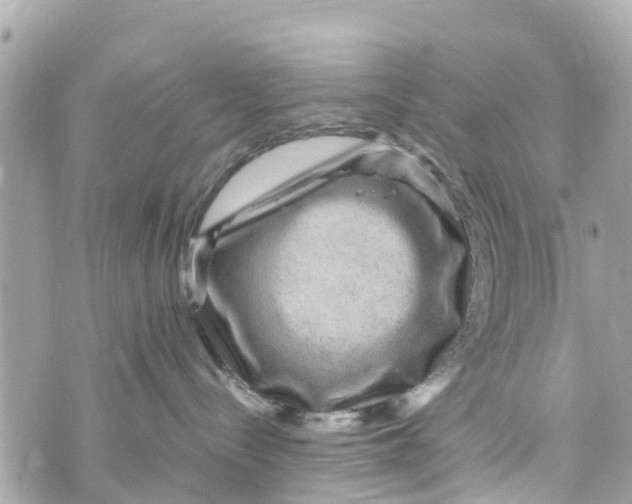X0000070230288200606161741