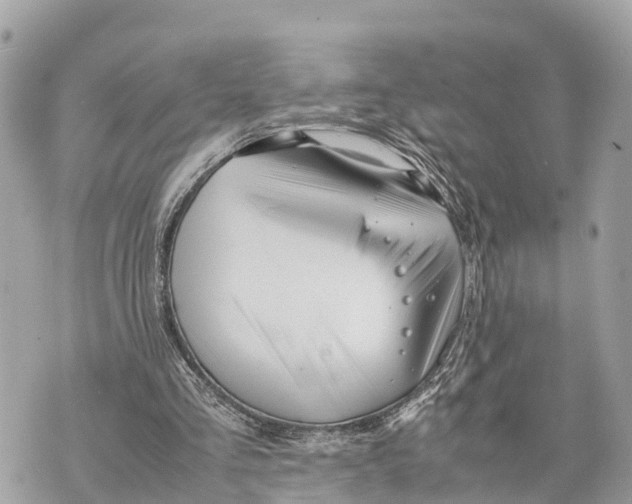 X0000070230293200606161740