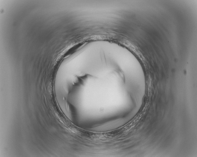 X0000070230297200606161740