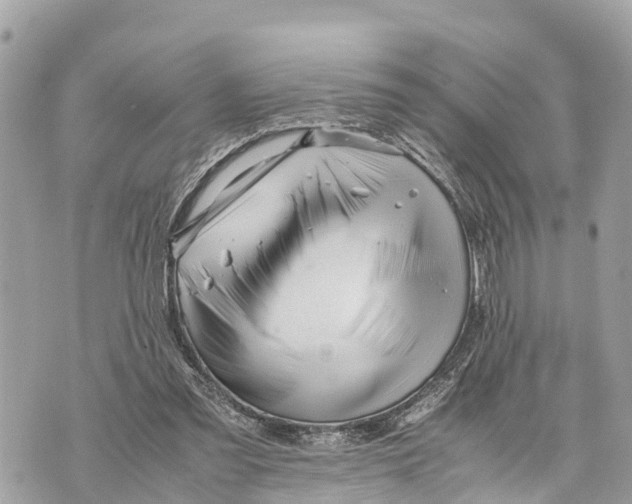 X0000070230301200606161740