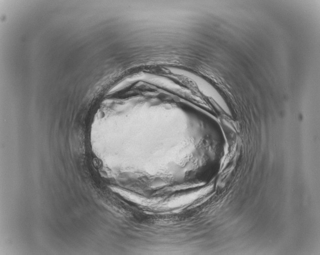 X0000070230303200606161740