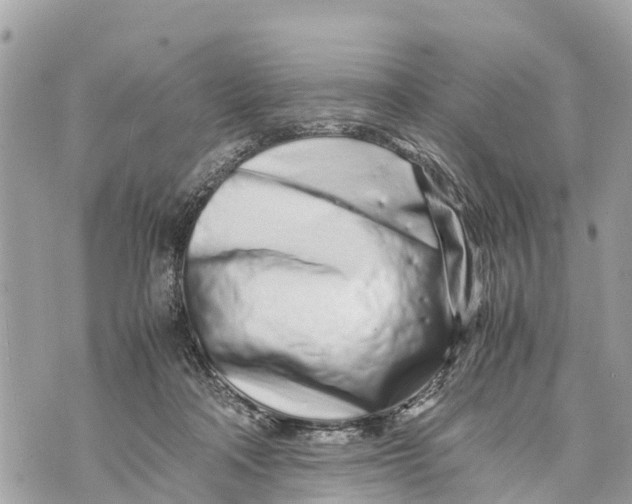 X0000070230314200606161739