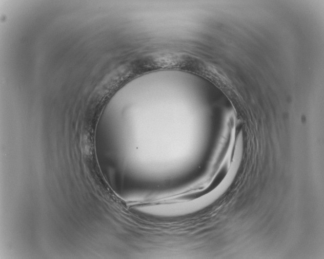 X0000070230317200606161739