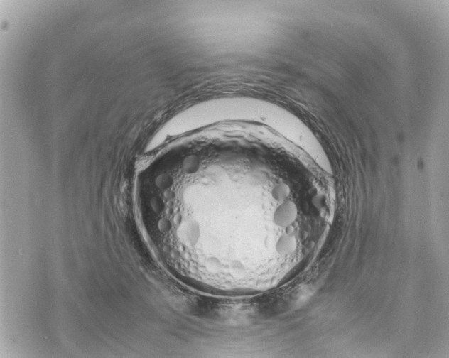 X0000070230319200606161739