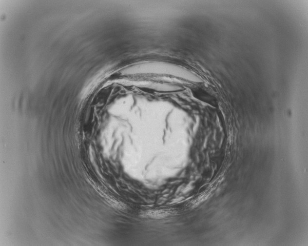 X0000070230341200606161738