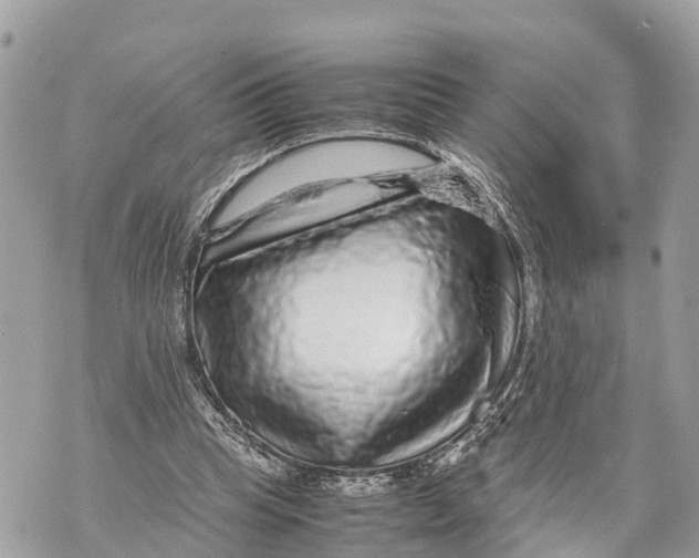 X0000070230345200606161738