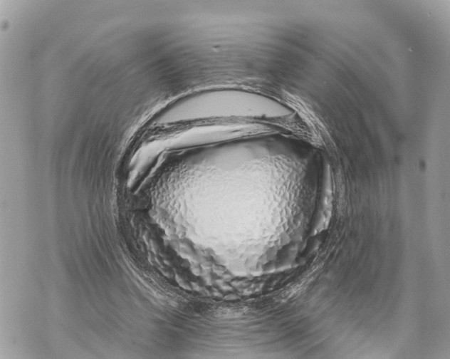 X0000070230346200606161738