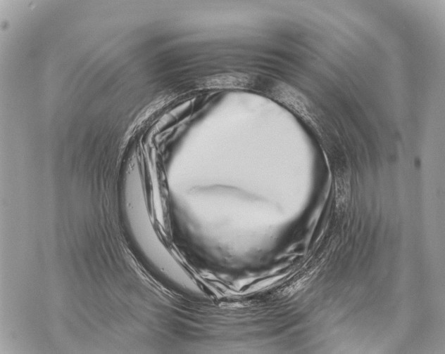 X0000070230349200606161738