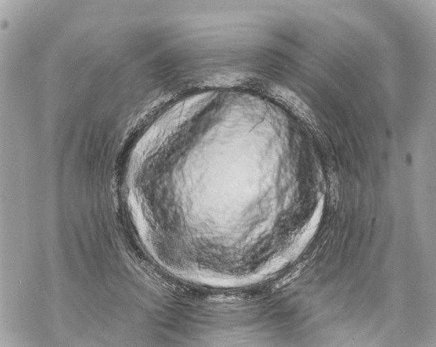 X0000070230354200606161738