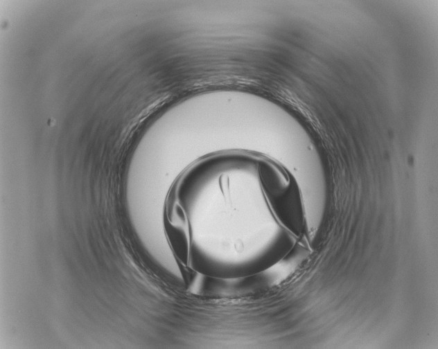 X0000070230356200606161738