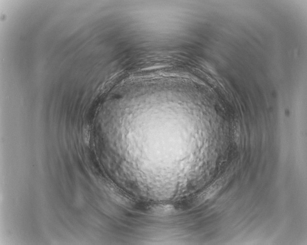X0000070230374200606161739