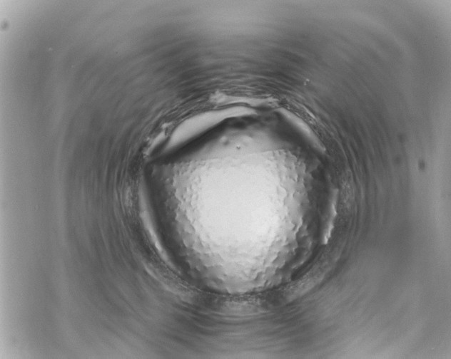 X0000070230375200606161739