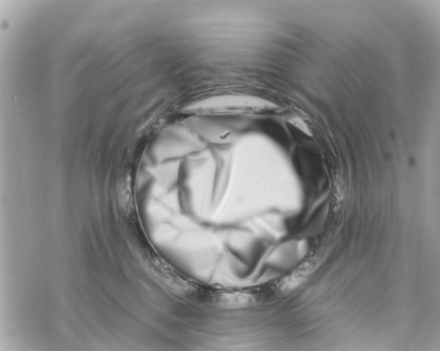 X0000070230376200606161739