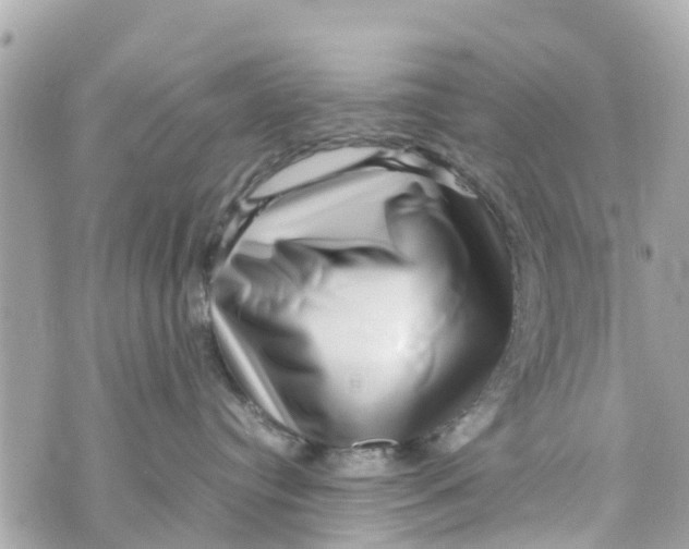 X0000070230384200606161739