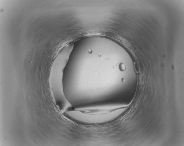 X0000070230385200606161738