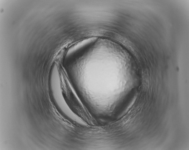 X0000070230386200606161738