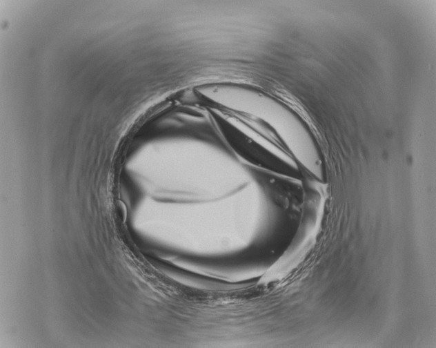 X0000070230387200606161738