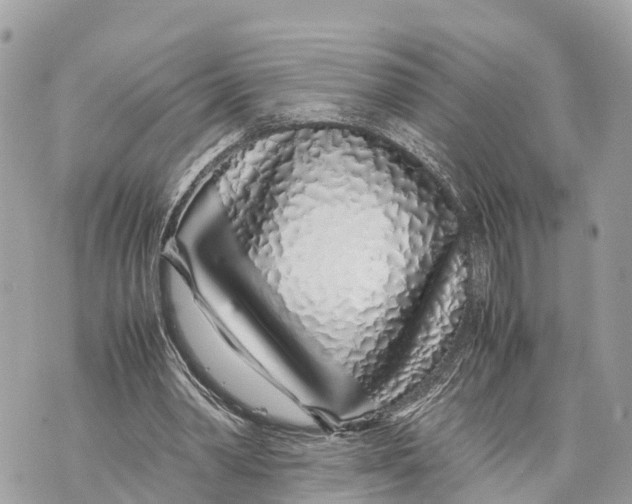 X0000070230390200606161738