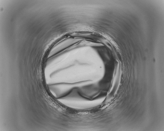 X0000070230391200606161738